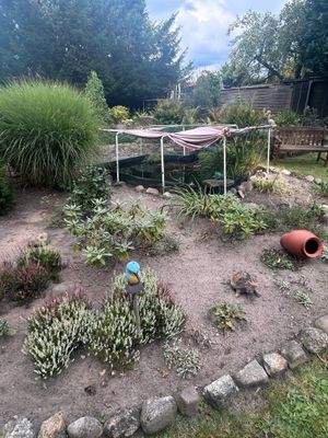 Jedes Gärtnerherz wird höher schlagen.....