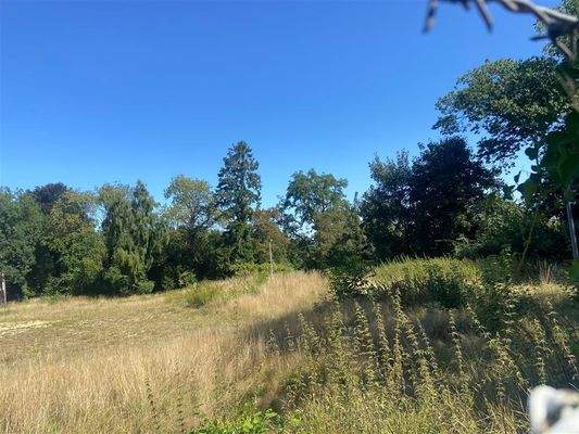 6 Grundstücksfreifläche Blick nach Osten