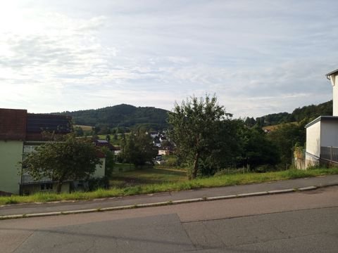 Weinheim Grundstücke, Weinheim Grundstück kaufen