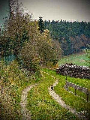 Kurze Wege in die Natur