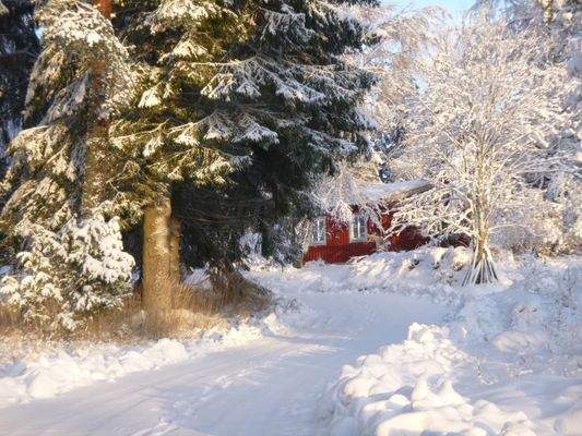 Zufahrtsweg im Winter