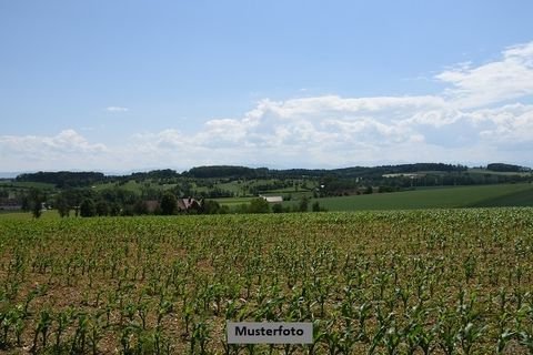 Zerbst/Anhalt Bauernhöfe, Landwirtschaft, Zerbst/Anhalt Forstwirtschaft