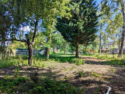 Hinterer Grundstücksbereich