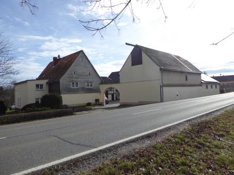 Neukirchen/Pleiße Häuser, Neukirchen/Pleiße Haus kaufen