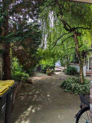 Sommerbild im begrünten Innenhof