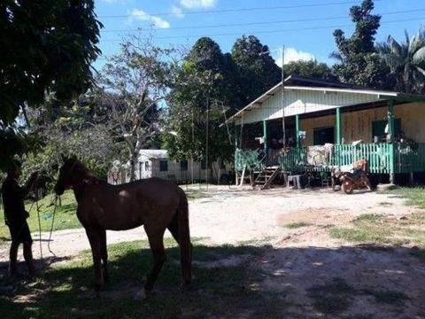 Tefe Häuser, Tefe Haus kaufen