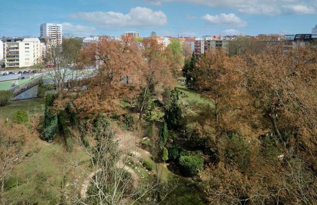 Ausblick ins Grüne