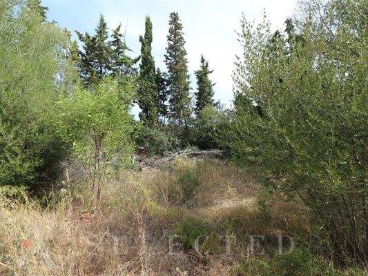 Solar für Verkauf in Bonaire, Alcudia 08