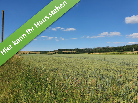 Seesen Häuser, Seesen Haus kaufen