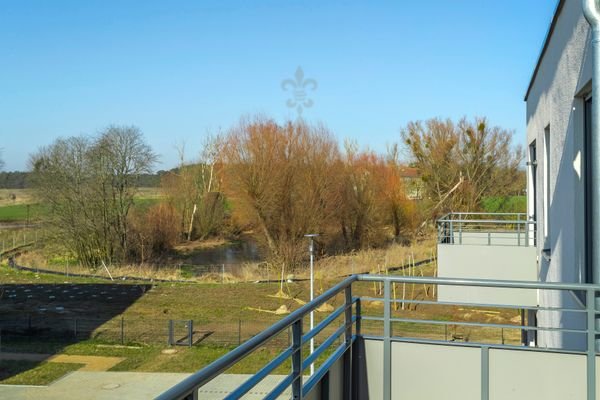 Blick auf den Kolterpfuhl