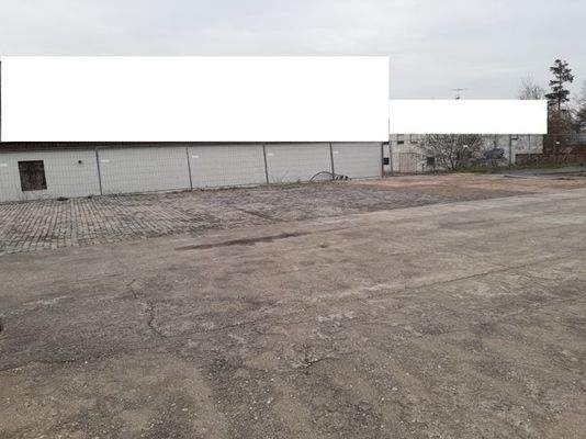 auf dem befestigten, eingezäunten Grundstück