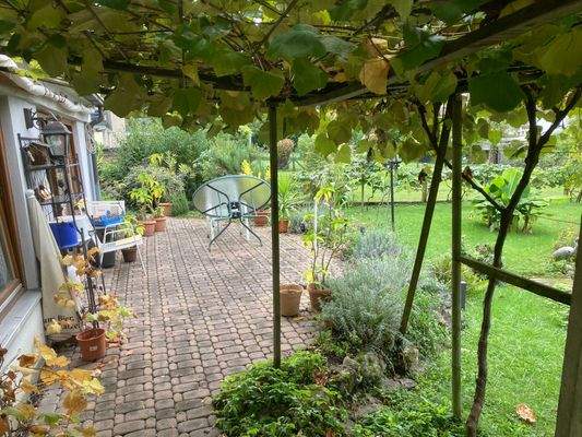 ... Blicke an der Terrasse, unter dem Weinlaub ...