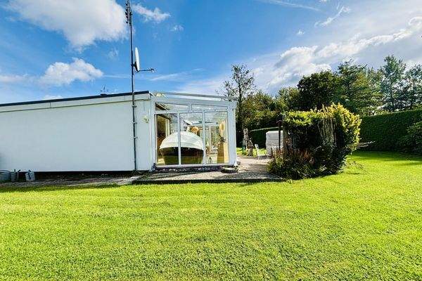 Großer sonniger Garten