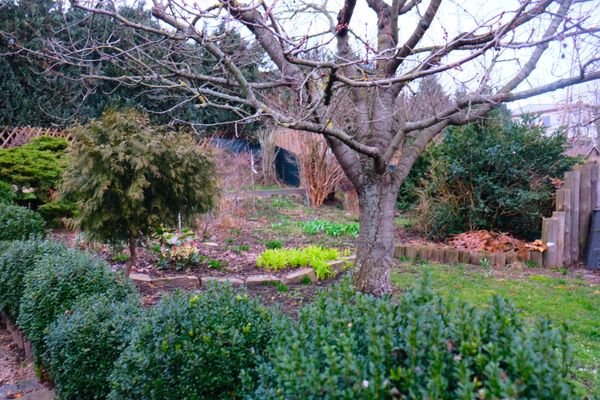 angelegter Garten.JPG