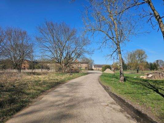 Weg - Richtung Waldstück