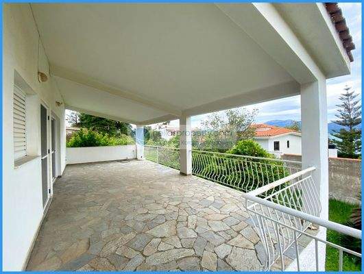 dd9cef3a63af4802a72a1fa0fe958d70-original