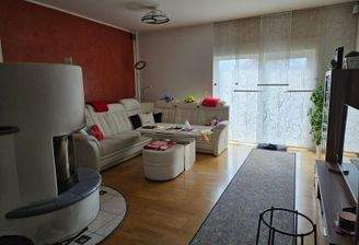 Wohnbereich mit Kamin und Terrassenzugang