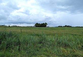 andere Straßenseite Weideland