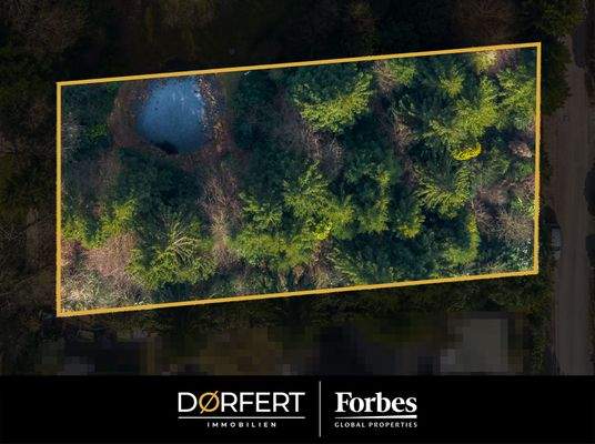 DI - Forbes Global Properties