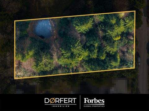 Dassendorf Grundstücke, Dassendorf Grundstück kaufen