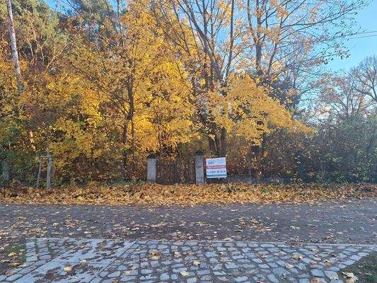 Blick auf das Grundstück