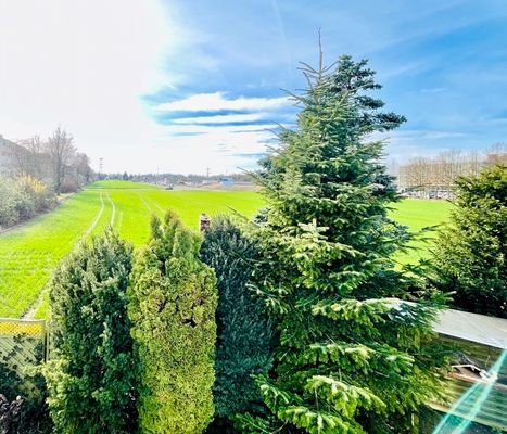 Ausblick vom Wintergarten mit Terrasse zur Westseite