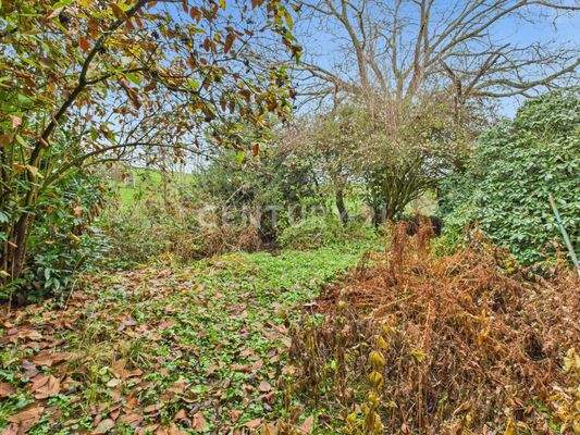 Natürlich gehaltener Garten