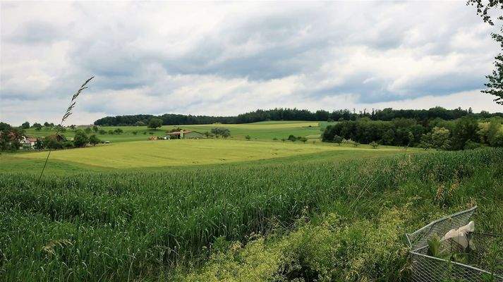 Ausblick von der oberen Gartenebene