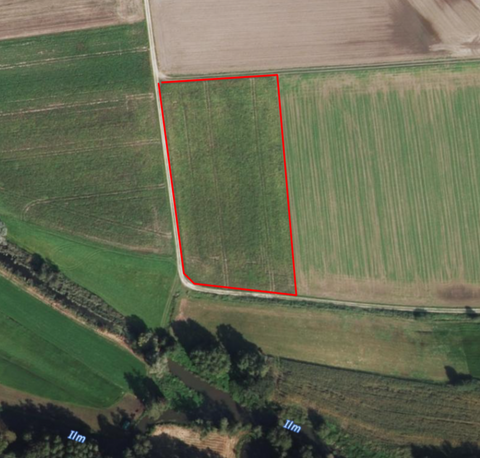 Münchsmünster Bauernhöfe, Landwirtschaft, Münchsmünster Forstwirtschaft