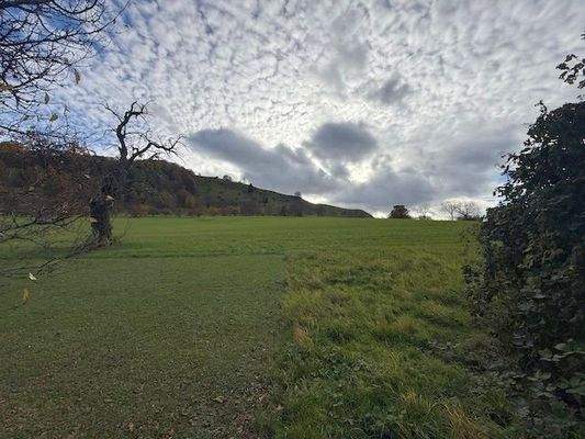 Grundstücksgrenze zur freien Natur