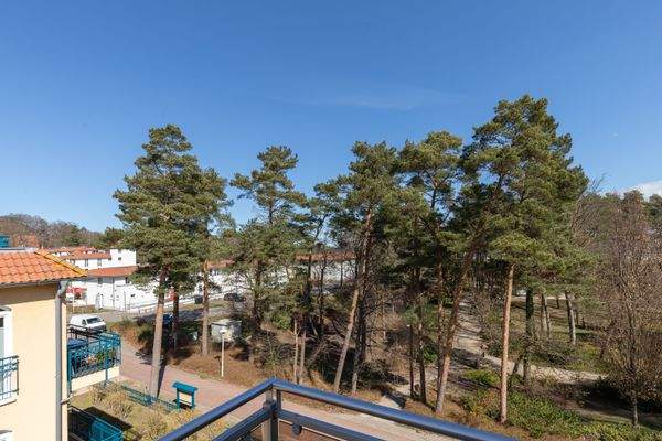 Die begrünte Anlage des Kurparks 