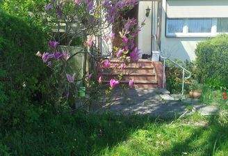 1000033851