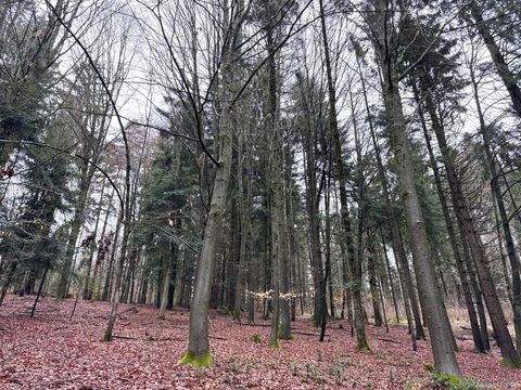 Deggendorf Bauernhöfe, Landwirtschaft, Deggendorf Forstwirtschaft