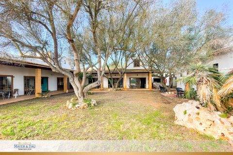 Petra Häuser, Petra Haus kaufen