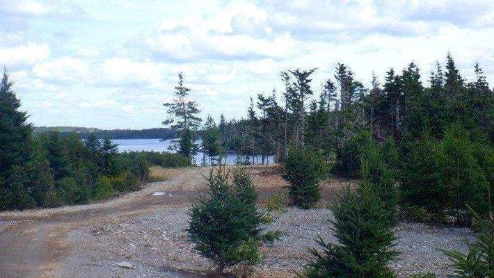 Blick Zufahrt und Teil Grundstück.JPG