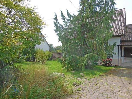 Zufahrt und Altbestand