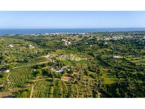 Porches Häuser, Porches Haus kaufen