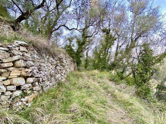 DA812_09 TERRA ITALIA IMMOBILIEN_LIGURIEN_DOLCEACQ