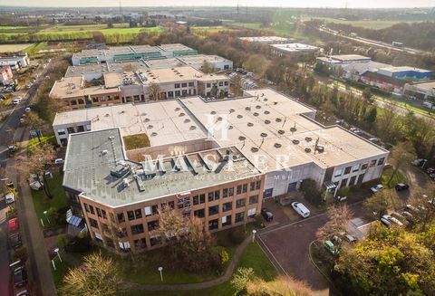 Düsseldorf Halle, Düsseldorf Hallenfläche