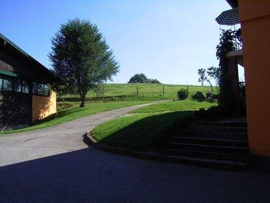 Zufahrt zu den Koppeln