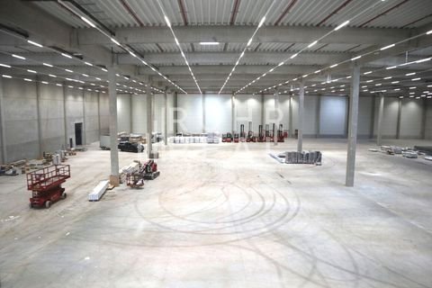 Pulheim Halle, Pulheim Hallenfläche