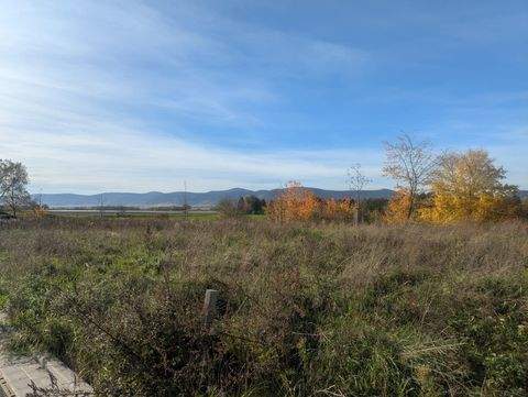 Neustadt Grundstücke, Neustadt Grundstück kaufen