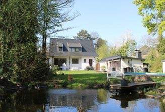 Gartenansicht Teich Pool