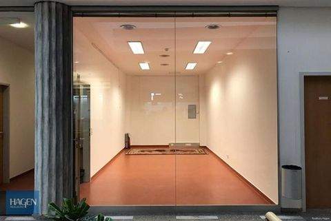 Bregenz Halle, Bregenz Hallenfläche