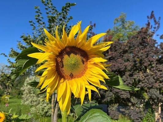 Neues Bauvorhaben in Mattighofen