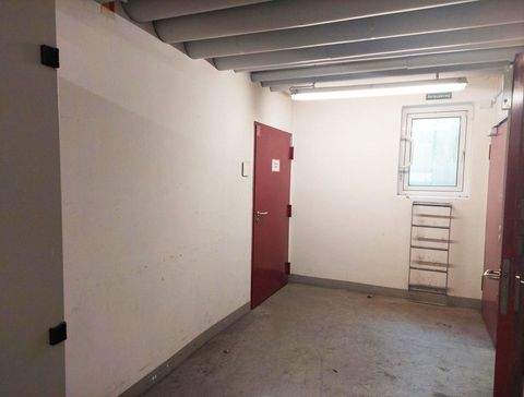 Hamburg Halle, Hamburg Hallenfläche