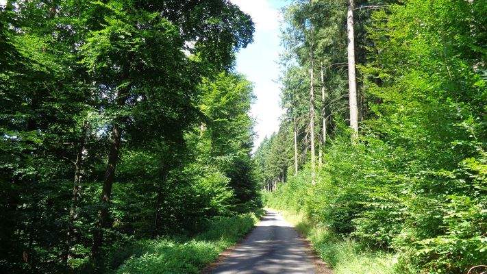 Nahegelegener Odenwald