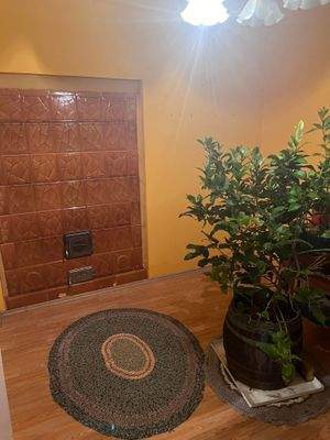 406166081_394201843045321_3323401188309448093_n.jp