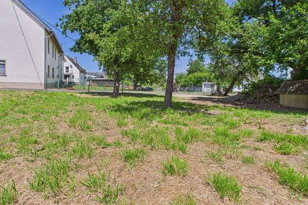 Zum Flürchen / Zum Hohen Stein – 54413 Beuren (Hochwald)