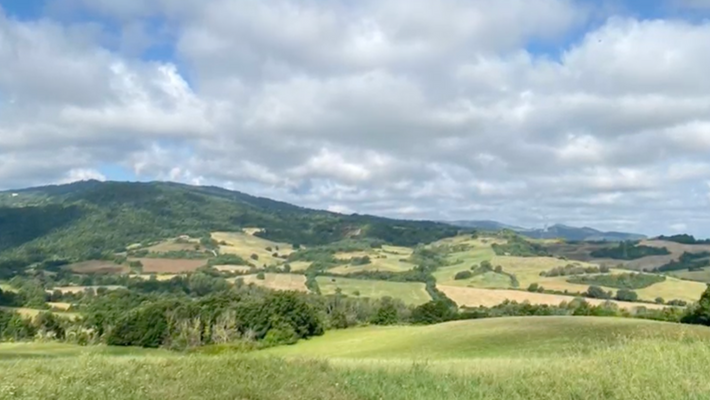 Screenshot 2025-10-20 alle 17.12.05.png